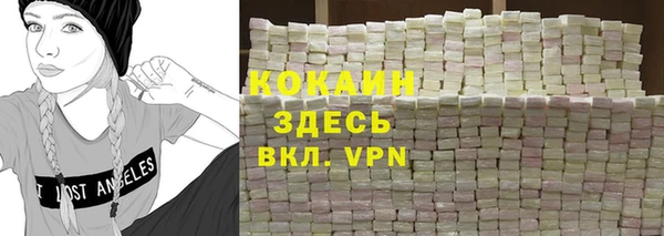 соль ск Белокуриха