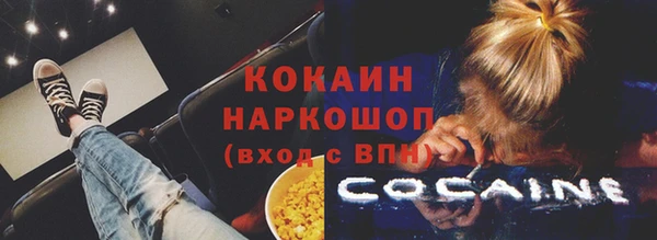 метадон Богданович