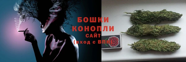соль ск Белокуриха