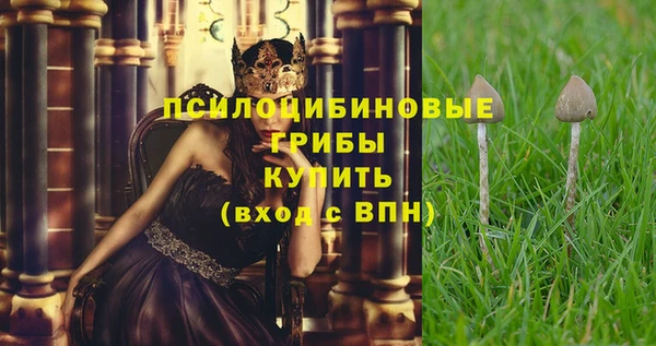 прущий лед Богородицк