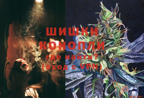 метадон Богданович